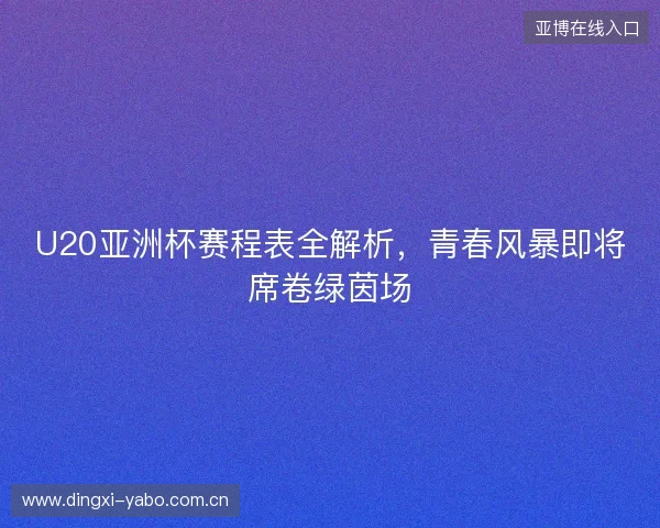 U20亚洲杯赛程表全解析，青春风暴即将席卷绿茵场